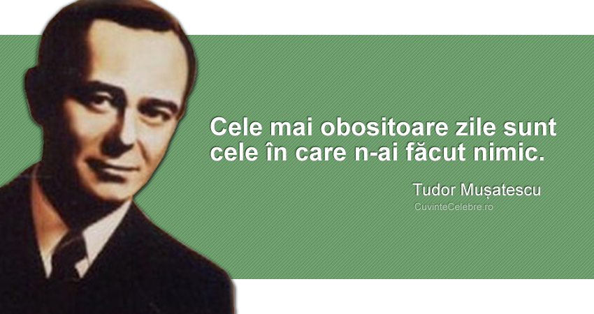 Citat-de-Tudor-Musatescu