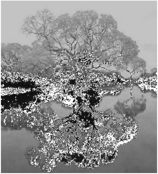 The tree