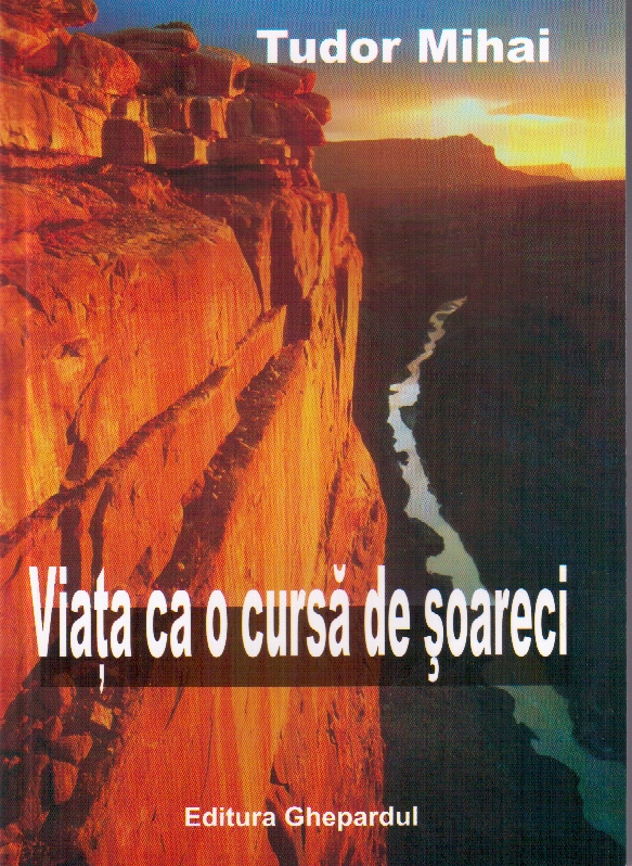 Viata ca o cursa de soareci 1