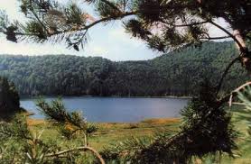LAC
