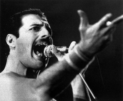 freddie-mercury