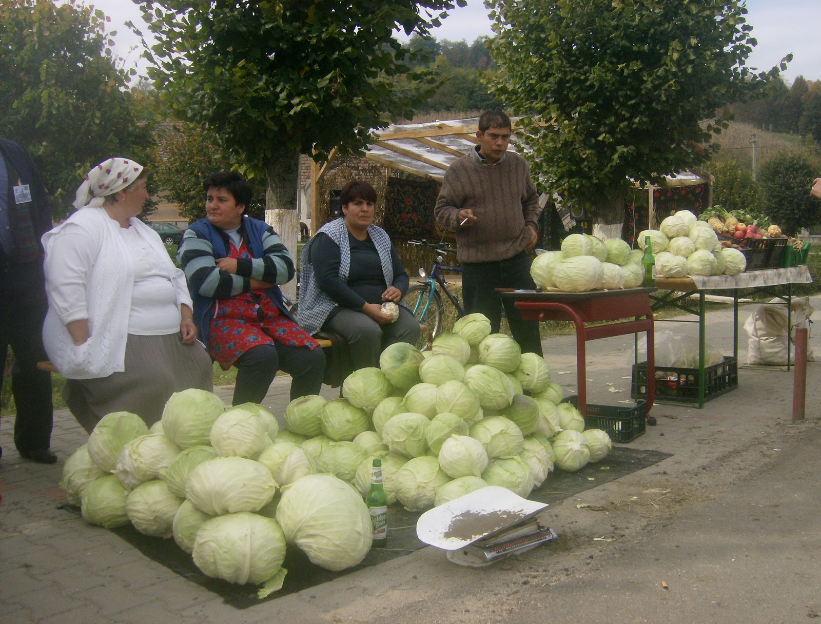 Festivalul Verzei Mosna 