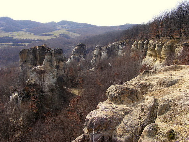 GRADINA Zmeilor1