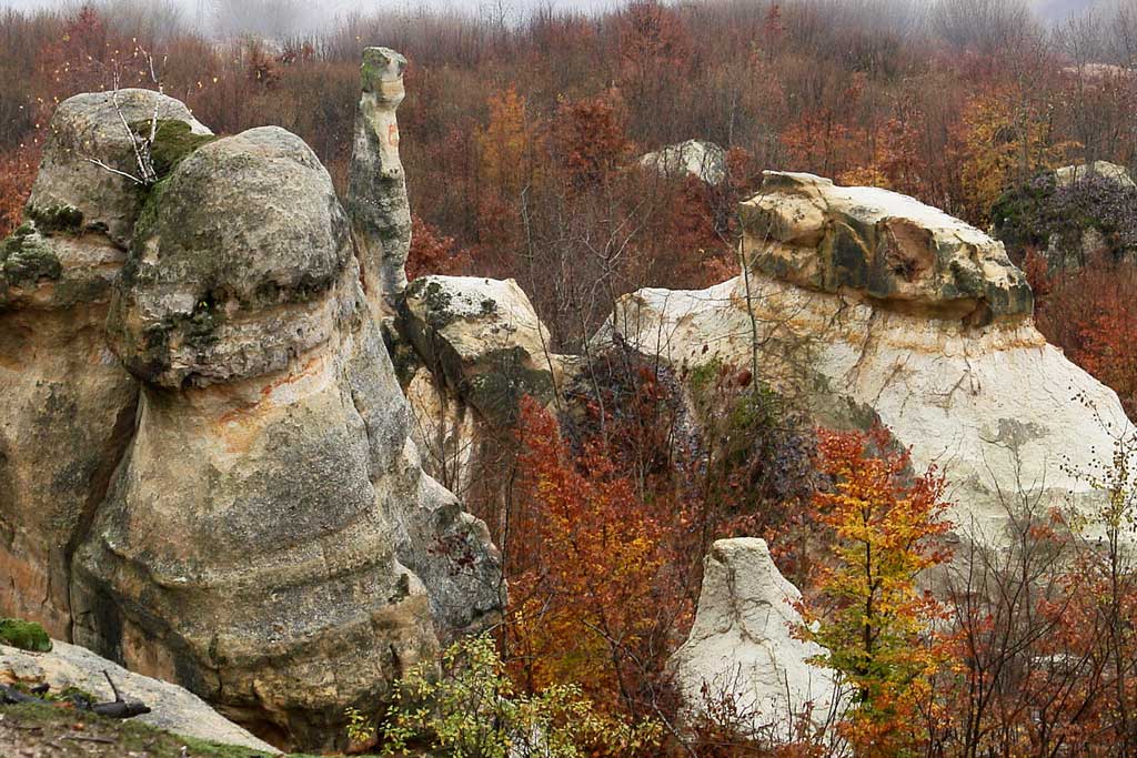 gradina-zmeilor-3