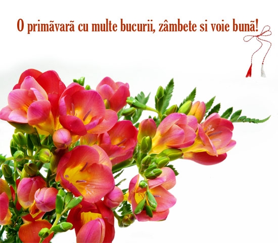 felicitare cititori